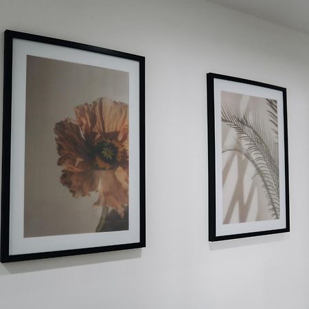 E&S Apartments 1 โอเบอร์เฮาเซิน ภายนอก รูปภาพ
